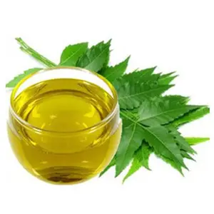 Neem - Azadirachta indica yağı