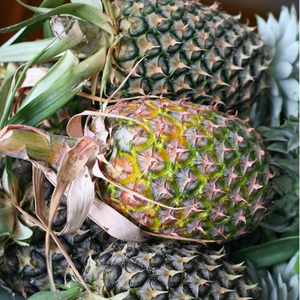 Piña fresca vietnamita, oferta de piña fresca de VIETNAM en 2020 - Product Image 1