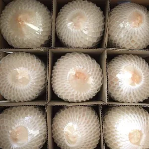 มะพร้าวสด (Viber + 84 971629648) - Product Image 1