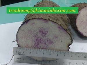 Youpin MEKONG Delta — fruits, gelés de haute qualité, le meilleur choix du d'hôtel - Product Image 6