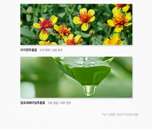 [the SAEM] Crème gel apaisante à l'huile de cheval, crème gel, soin de la peau, K Beauty - Product Image 3