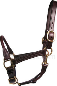 Nouveau modèle de marque OEM/ODM de licou de cheval à haute résistance AIPVCH-007 à vendre - Product Image 3