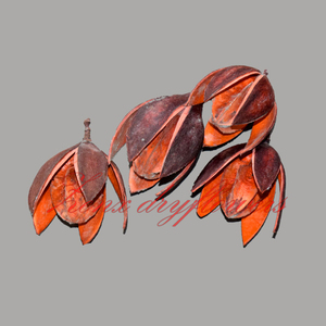 Pot-pourri Bakuli écologique Option élégante et durable pour les fleurs indiennes séchées décoratives de Noël - Product Image 1