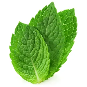 Chinese Peppermint Oil Supplier For Toothpaste