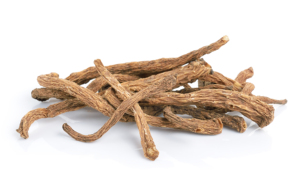 Aceite esencial de raíz de Angélica 100% puro y natural al por mayor proveedor a granel para aromaterapia cuidado de la piel y perfumería - Product Image 2