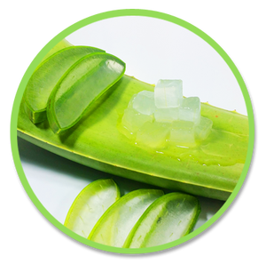 Emballage sous vide IQF de qualité supérieure lyophilisé Aloe Vera dés Cubes Cartons congelés Aloe Vera Vietnam nouveau produit eau - Product Image 1