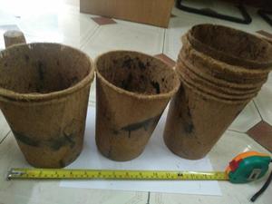 COCO-olla de COIR para cultivo - Product Image 3