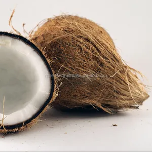 มะพร้าวสด ผลผลิตใหม่ น้ำหวาน ปอกเปลือกบาง ยี่ห้อซีทีซี - Product Image 1