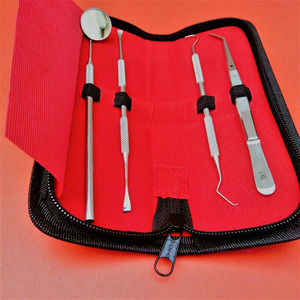Kit d'outils d'hygiène dentaire professionnels 2026 – 4 pièces en acier inoxydable, détartreur manuel, grattoir, équipement de nettoyage et de restauration dentaire - Product Image 1