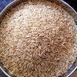 Best Quality Wholesale Supplier of Long Grain Basmati <b>Rice</b> Available in Lowest Price Pack in 10kg 25kg 50kg pp Bag - Product Image 3