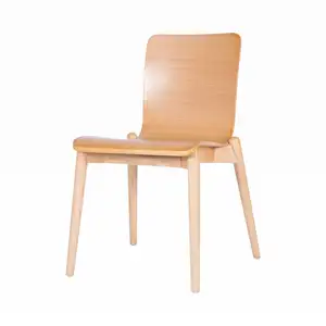 living room modern wood Chair