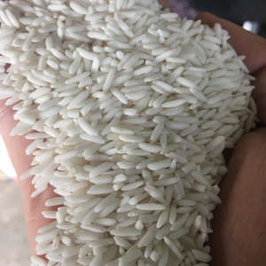 ข้าวเมล็ดกลาง / คาลโรส / คามอลิโน ราคาดีที่สุด - Product Image 4