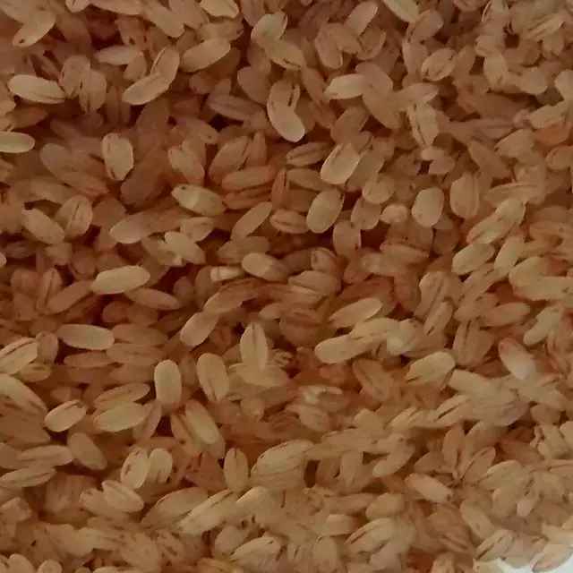 Gül Mata pirinç