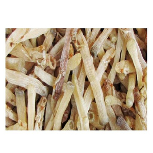 Producto de Agricultura de alimentos marinos Sipunculus Nudus seco 2024 - Product Image 1