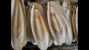 100% hueso de sepia seca natural con precio competitivo y alta calidad - Product Image 5