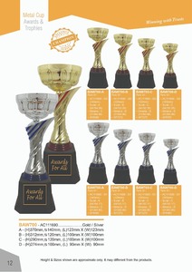 ถ้วยถ้วยรางวัลโลหะแบบครึ่งถ้วยถ้วยสองโทนสีรูปแบบของที่ระลึกงานฝีมืองานพิมพ์ชุบเคลือบเทคนิค - Product Image 2