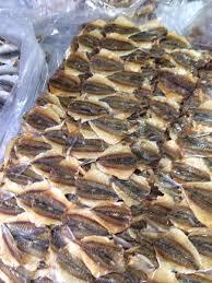 Goût séché facilement, jaune, bon marché, goût - Product Image 3