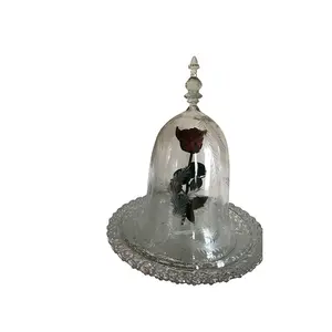 Fabricante OEM Vidro Decorativo Dome Bell Jar com Gravura Folha Design