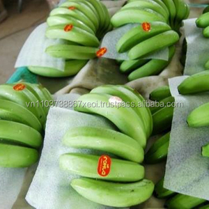 กาเวนดิชกล้วยเวียดนาม/คุณภาพสูง/กล้วยสด - Product Image 5