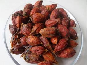 GARDENIA FRUIT EXTRACT POWDER - Dry Gardenia Extract Powder From Vietnam HOLIDAY - Product Image 4