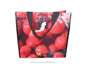 Bolsa de Compras/supermercado tejida de PP, ecológica y reutilizable, con patrón de fruta personalizable, hecha en Vietnam - Product Image 2