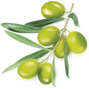 Aromaz-Proveedores a granel de aceite de oliva virgen Extra Natural, aroma Internacional, portador de oliva puro, productor - Product Image 4