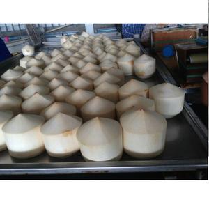 FOURNISSEUR FRAIS DIAMANT FORME DE NOIX DE COCO AVEC BONNE QUALITÉ ET PRIX CONCURRENTIEL - Product Image 2