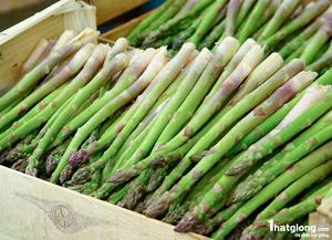 Ferme d'asparagus du Vietnam en 2020 - Product Image 3
