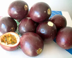 Fresh Passion Fruit with Best Price and High Quality / From Vietnam /