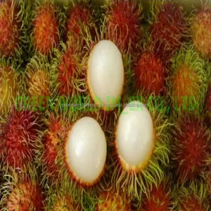 HIGH QUALITY- COMPETITIVE PRICE FOR FRESH RAMBUTANT FROM VIETNAM