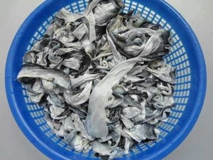 Congelados BASA piel de pescado de vietnamita proveedor - Product Image 4