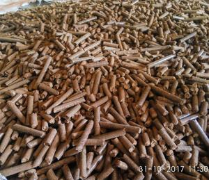 Palet de Madera en Oferta - Product Image 1