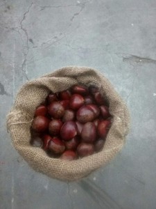 Châtaignes séchées de qualité supérieure, paquet en vrac de 5 kg - Product Image 4