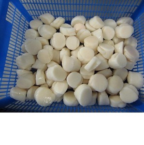 Frozen Scallop Meat Frozen Scallop Meat Suppliers And Manufacturers At Alibaba Com Frozen Scallop Meat Frozen Scallop Meat Suppliers And Manufacturers At Alibaba Com