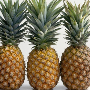 Ananas frais (naturellement sucré et doré) - Certifié HACCP 17-20cm 1kg Fruit tropical - Product Image 4