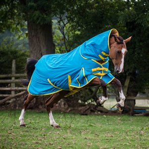 De calidad superior caballo invierno alfombras - Product Image 3