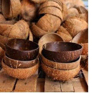 Moderno Tazón de Cáscara de Coco Natural de Vietnam |   Proveedor al por Mayor de Productos Ecológicos Hechos a Mano y No Tóxicos - Alex Truong - Product Image 1