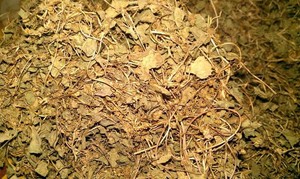 ปริมาณจํานวนมาก CENTELLA/GOTU KOLA สําหรับผู้นําเข้าจากเวียดนามในราคาที่สมเหตุสมผล - Product Image 3