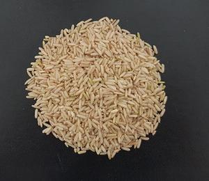 Arroz integral aromático seco y textura suave nutritivo para las ventas - Product Image 2