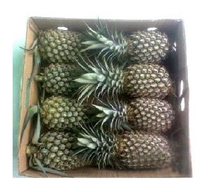 QUEEN PINEAPPLE À VENDRE AVEC LE MEILLEUR PRIX/VIETNAM 2023 - Product Image 6