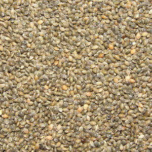 Millet jaune non glutineux séché, millet rouge, millet broomcorn pour aliments pour oiseaux, qualité A - Product Image 3