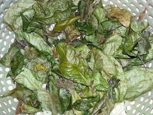 Thé vert séché d'origine vietnamienne thé de santé traité brut dans un emballage en sac - Product Image 3