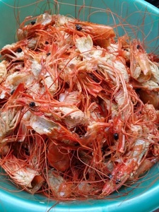 กุ้งเปลือกFLAKE/CRAB SHELL FLAKEจากเวียดนาม - Product Image 4
