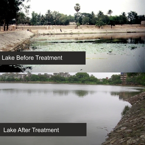 Extracteur de composés toxiques de la pompe filtrante de l'étang et des plans d'eau naturels - Product Image 4