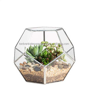 Terrario Geométrico Redondo de Metal Pulido y Chapado en Oro para Plantas de Mesa, Estilo Bonsái - Product Image 1