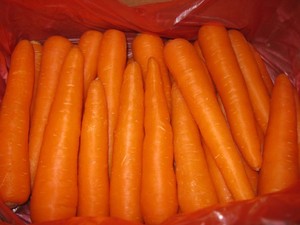 Vente en gros éplucheur de carottes/carottes en vrac 2024 - Product Image 2