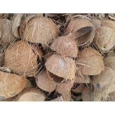 Charbon actif en forme de bâton de coque de noix de coco pour usage agricole - Product Image 3