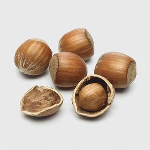 Fournisseur en gros d'huile de noix de hêtre italienne pressée à froid certifiée GMP, prix de gros, produit de haute qualité pour les achats en vrac - Product Image 1