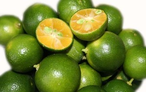 Kumquat tiêu chuẩn xuất khẩu số lượng lớn giá cả cạnh tranh cho bán buôn - Product Image 5