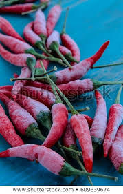 CHILE ROJO CONGELADO DE ALTA CALIDAD PARA EXPORTACIÓN/MS HOLIDAY - Product Image 2